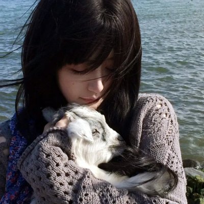 爱情败犬向前冲